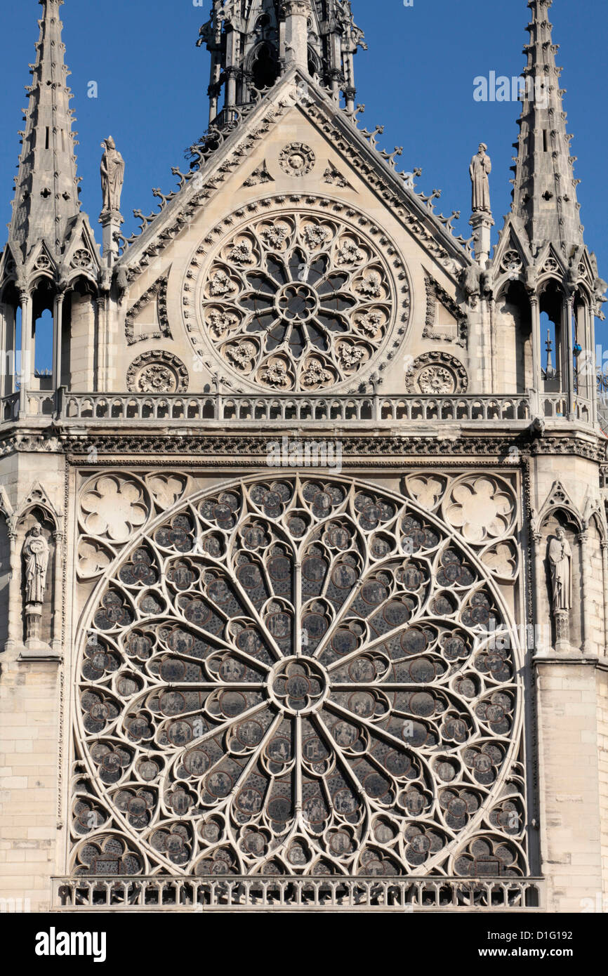Facciata meridionale della Cattedrale di Notre Dame de Paris cathedral, Parigi, Francia, Europa Foto Stock