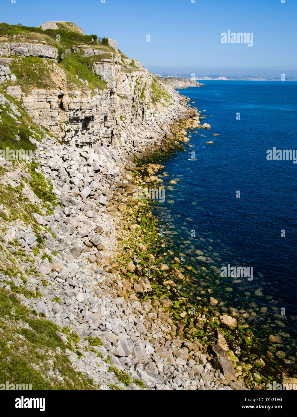 Scogliere calcaree sulla costa est di Portland Bill UK con vista in lontananza chalk scogliere di La costa del Dorset Foto Stock