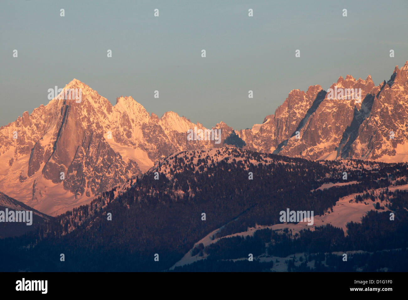L'ago verde, Mont Blanc mountain range, Megeve, Haute-Savoie, sulle Alpi francesi, Francia, Europa Foto Stock