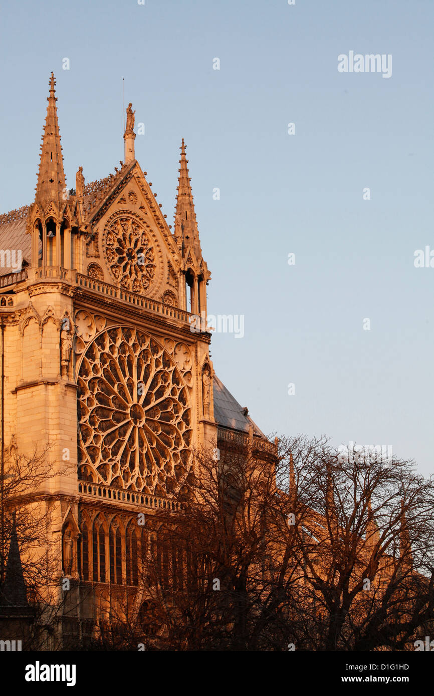 Rosone sulla facciata sud, la cattedrale di Notre Dame, Paris, Francia, Europa Foto Stock