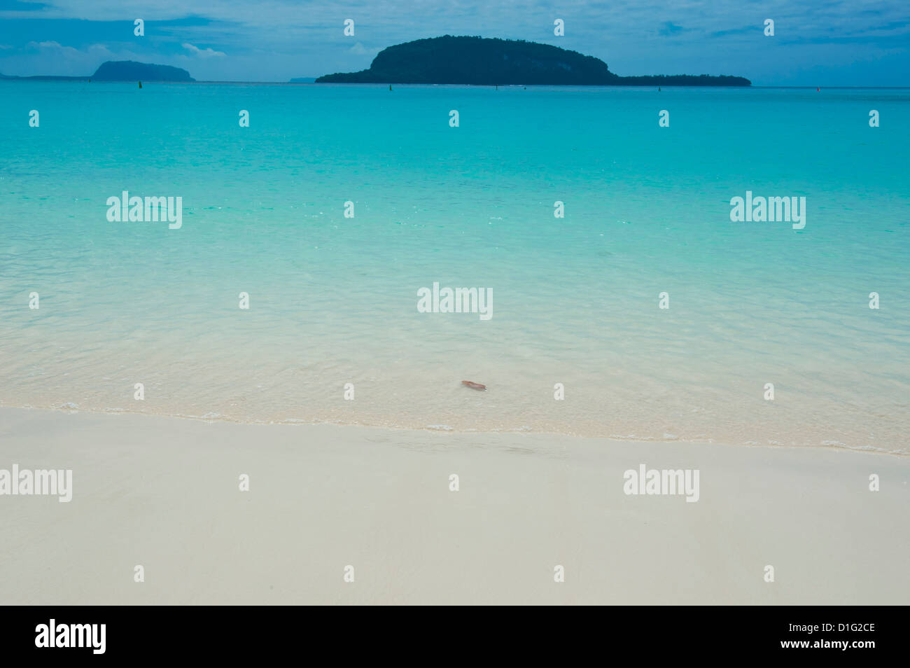 Acque turchesi e la sabbia bianca di La spiaggia Champagne, Isola di Espiritu Santo, Vanuatu, South Pacific Pacific Foto Stock
