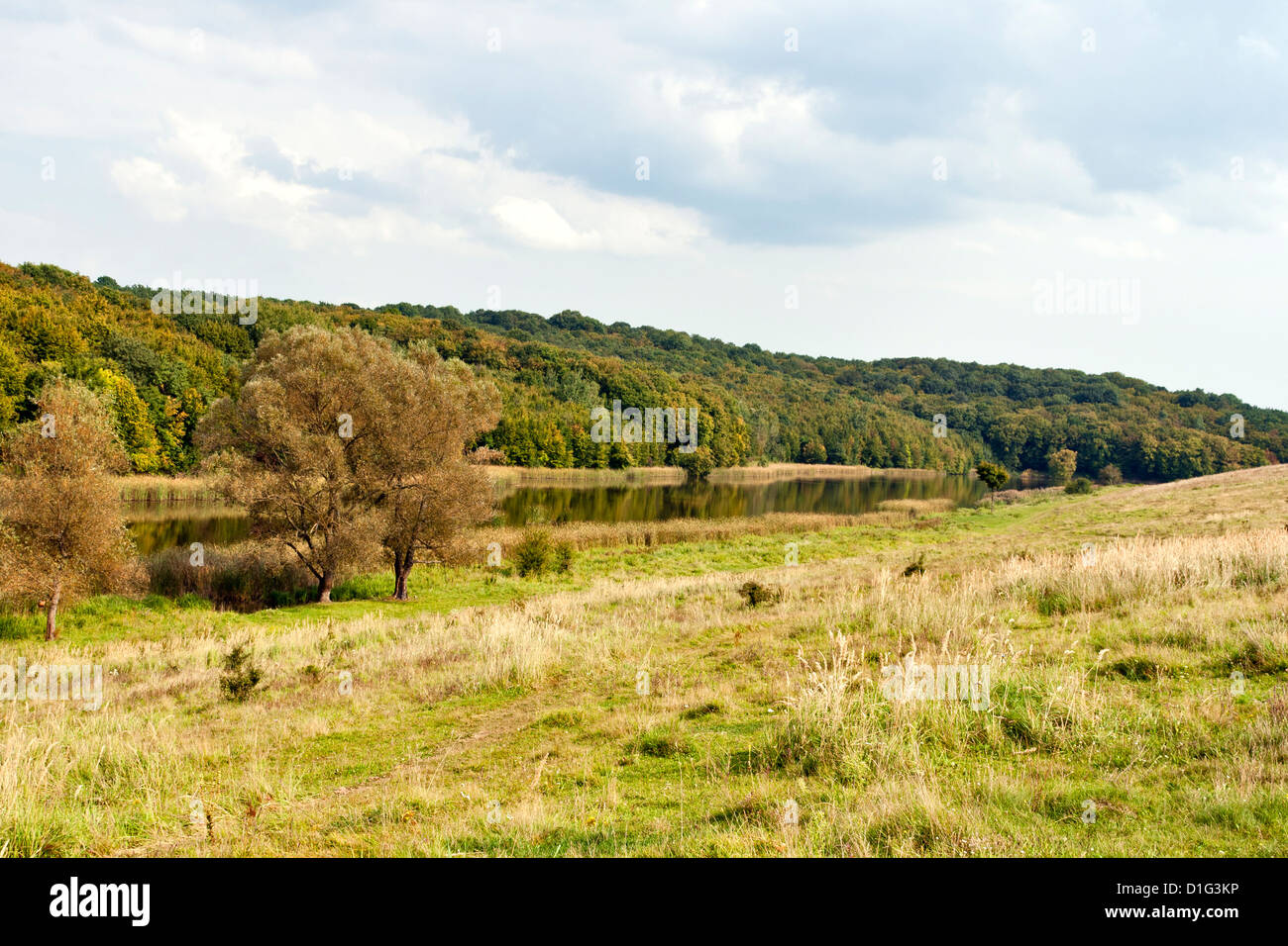 Fiume Ros paesaggio all'inizio dell'autunno. L'Ucraina centrale. Foto Stock