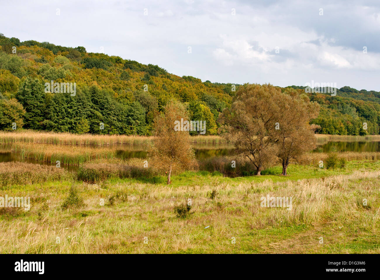 Fiume Ros paesaggio all'inizio dell'autunno. L'Ucraina centrale. Foto Stock