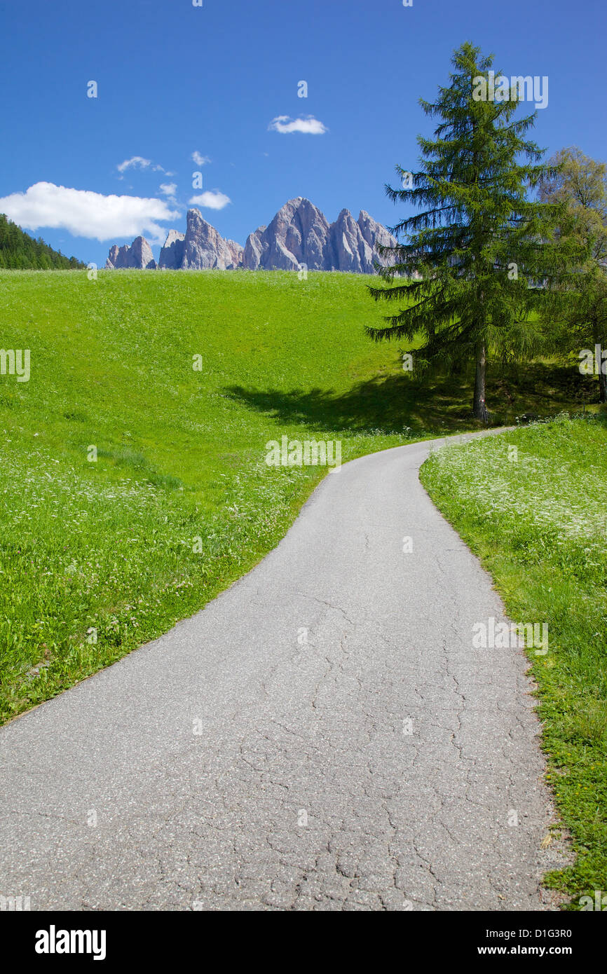 Val di Funes, Provincia Autonoma di Bolzano, Trentino-Alto Adige, Dolomiti italiane, Italia, Europa Foto Stock