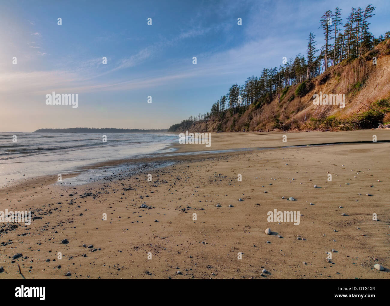 Questa spiaggia è vicino a Tofino sulla costa occidentale dell'isola di Vancouver. Foto Stock