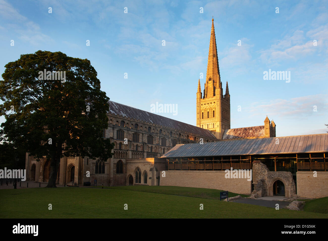 Ultima luce sulla guglia a Norwich Cathedral e Norwich, Norfolk, Inghilterra, Regno Unito, Europa Foto Stock