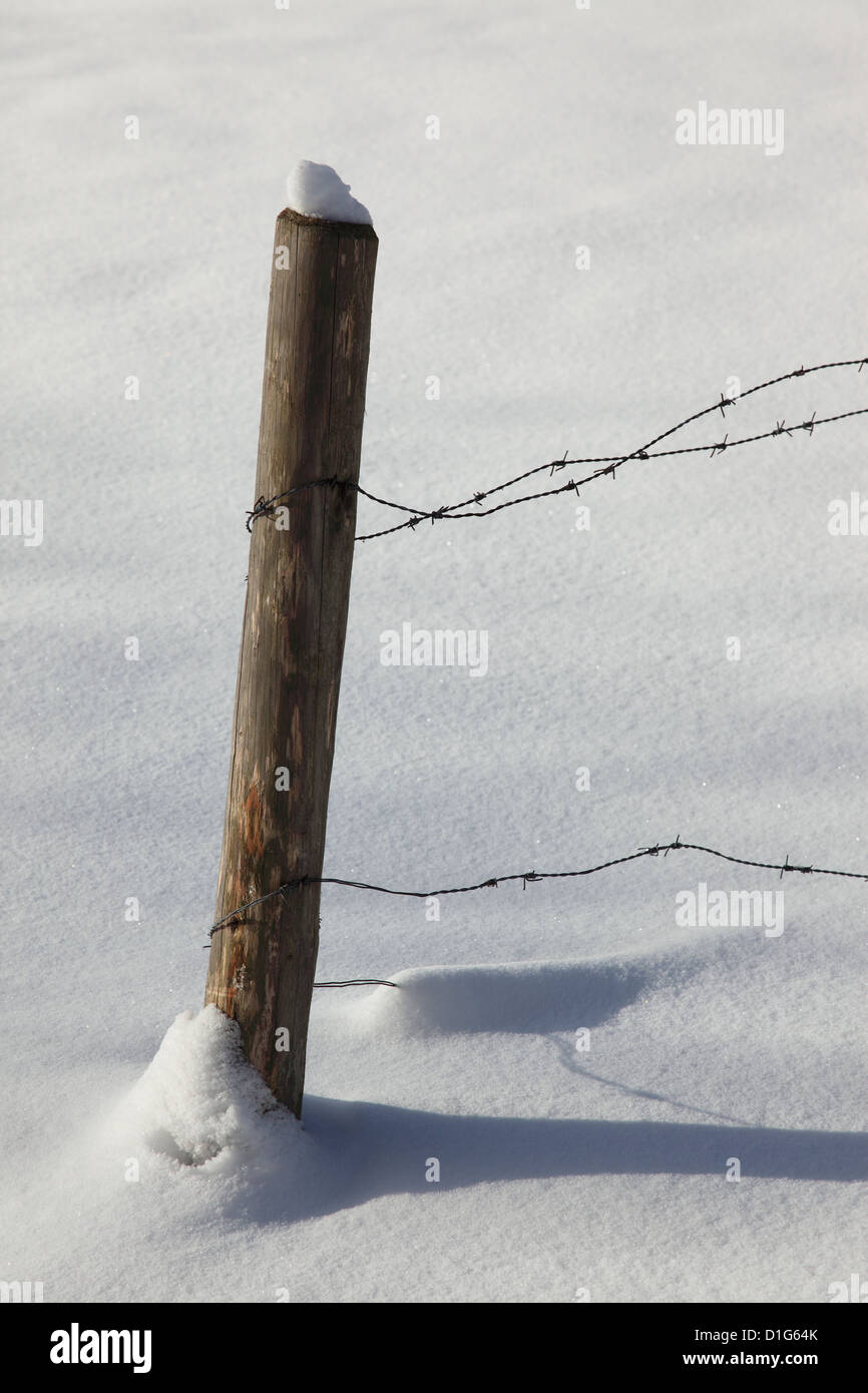 Palo da recinzione e filo spinato a winterly paesaggio. Foto di Willy Matheisl Foto Stock