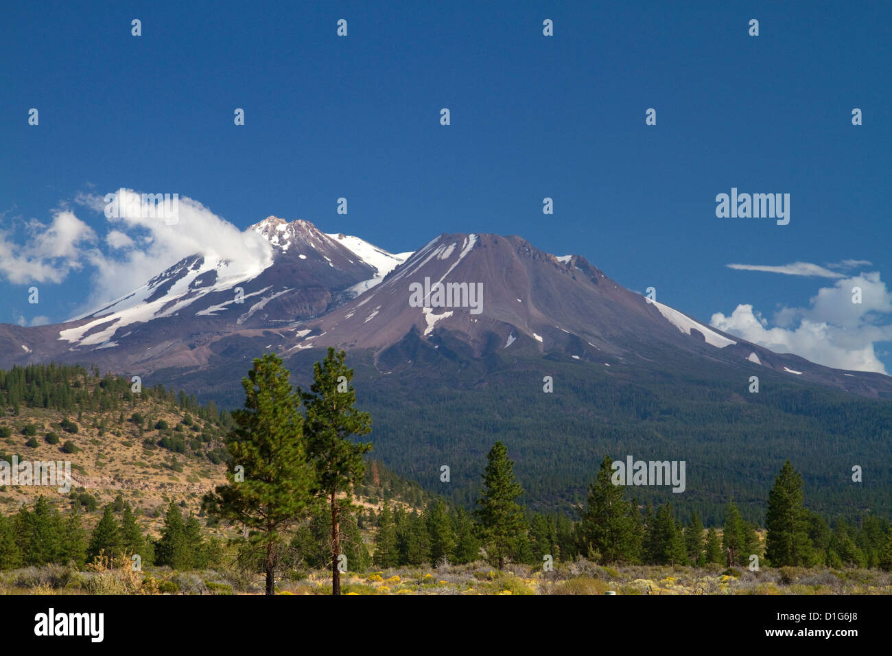 Mount Shasta nord rivolto verso il lato situato in Siskiyou County, California, Stati Uniti d'America. Foto Stock