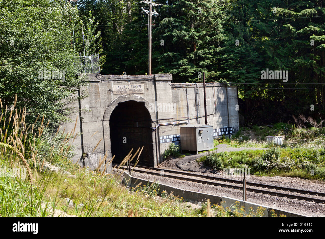 Nuovo Tunnel in cascata a Wellington, Tye, Washington Foto Stock