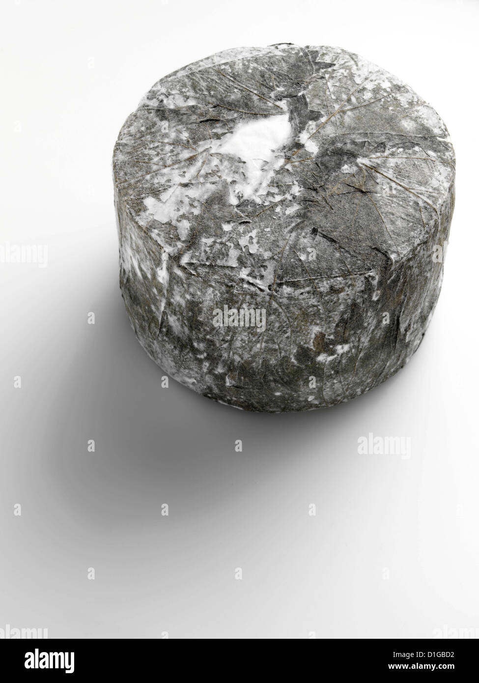 Cornish Yarg formaggio Foto Stock