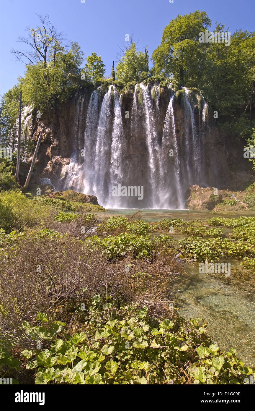 Elk192-1862v Croazia, il Parco Nazionale dei Laghi di Plitvice, superiore laghi, cascate Foto Stock