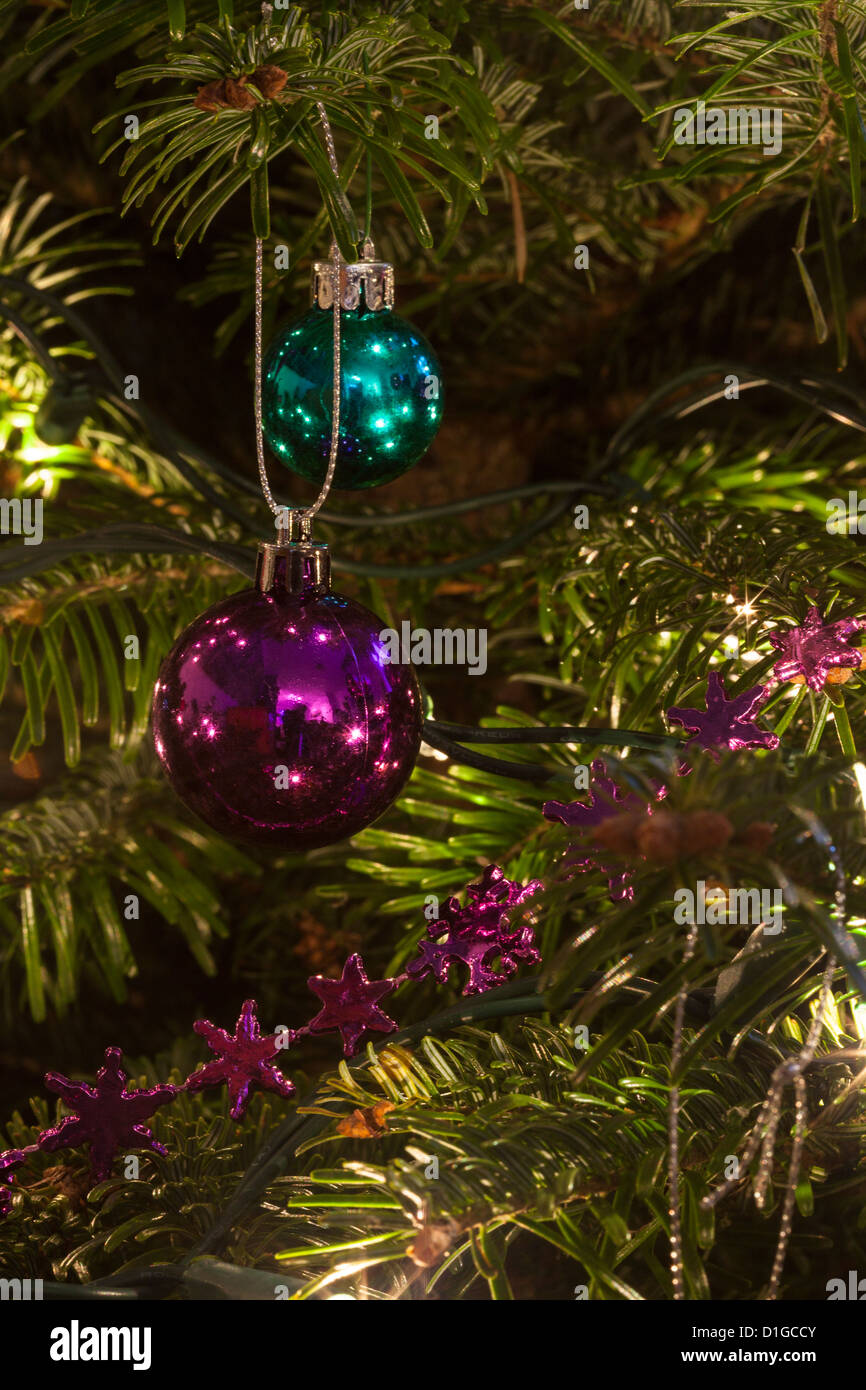 Albero di natale di pino Hordman abete decorato con luci scintillanti e baubles in verde viola e rosa, alcuni sfocato al di fuori della messa a fuoco Foto Stock