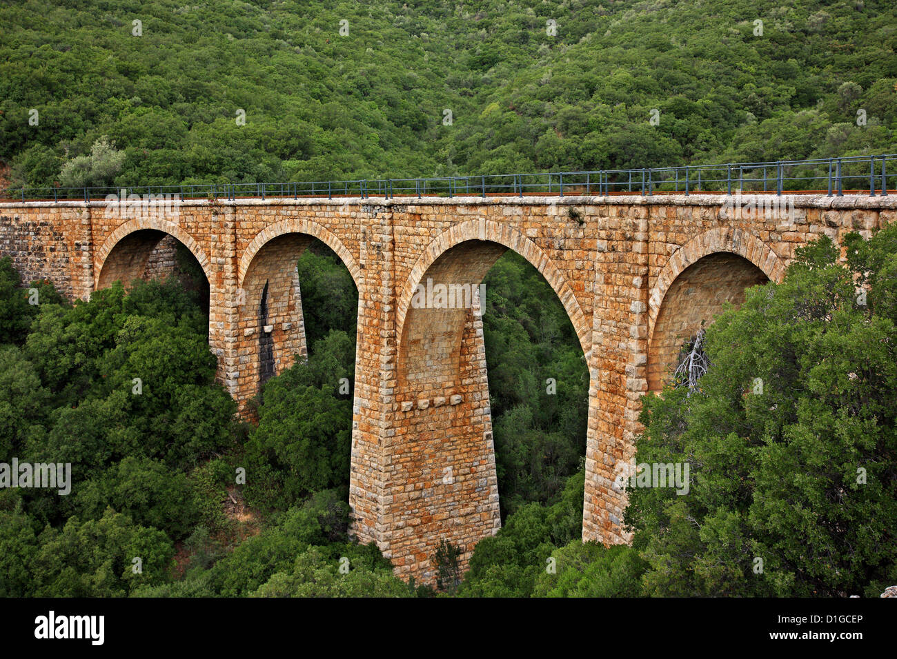 Uno dei molti ponti, parte della ferrovia Pelian, Ano Gatzea village, Pelion mountain, magnesia (Magnissias), Tessaglia, Grecia Foto Stock