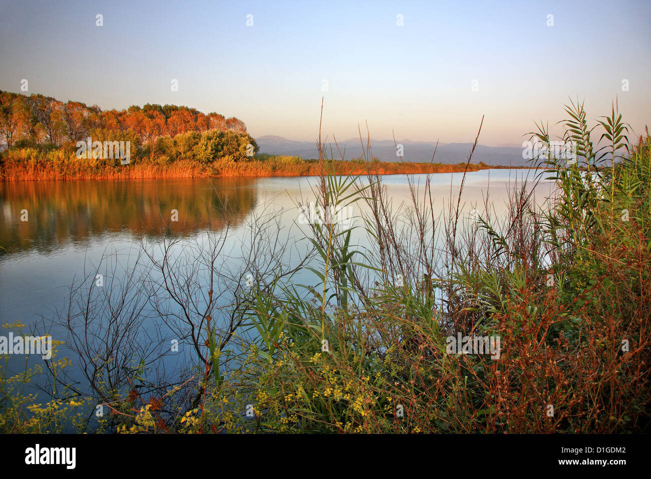 Fiume Arachtos, vicino al suo estuario, Arta, Epiro, Grecia. Foto Stock