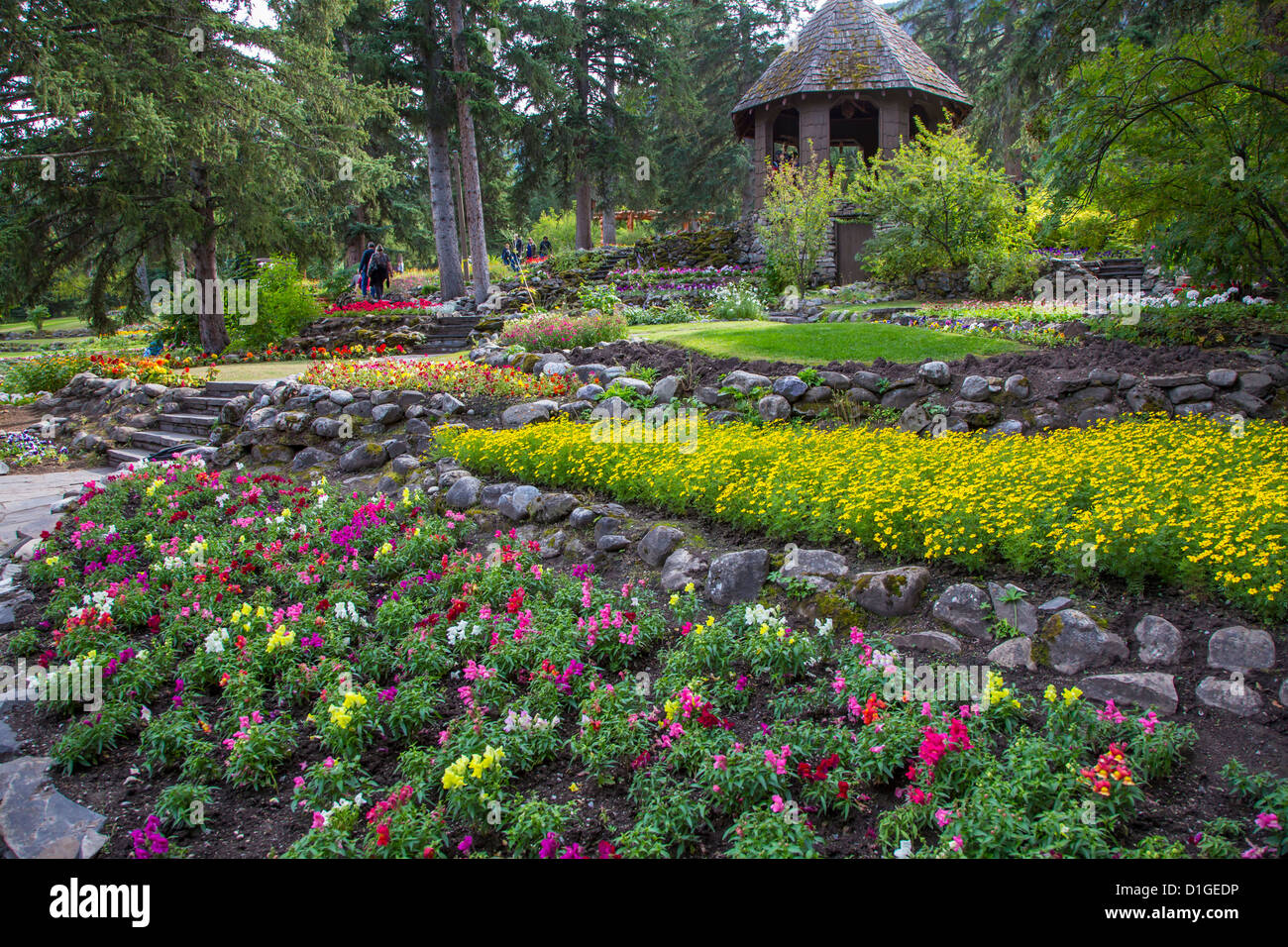 Cascata di giardini nel Parco Nazionale di Banff in città di Banff nelle Montagne Rocciose Canadesi in Alberta Canada Foto Stock