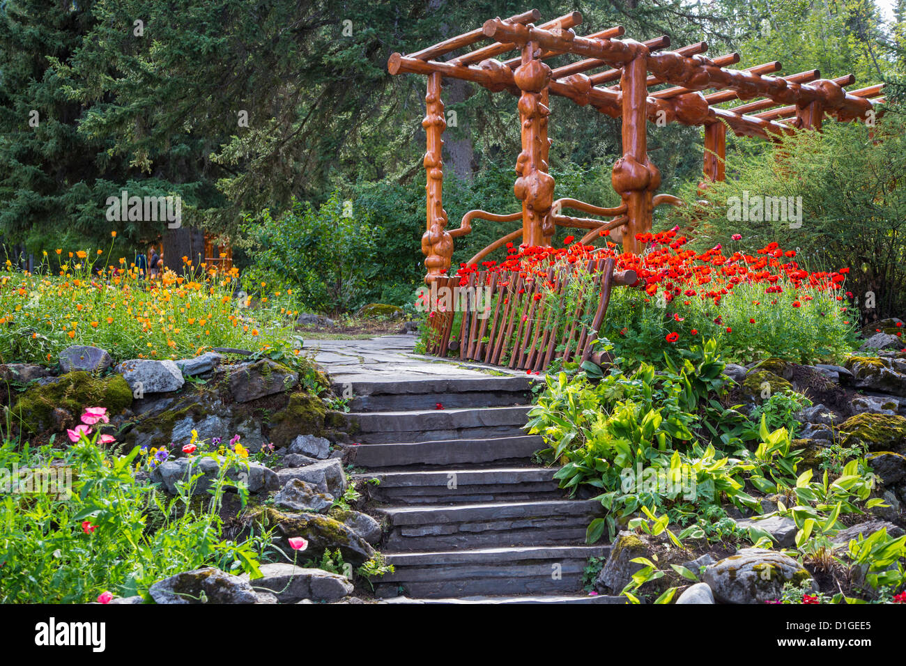 Cascata di giardini nel Parco Nazionale di Banff in città di Banff nelle Montagne Rocciose Canadesi in Alberta Canada Foto Stock