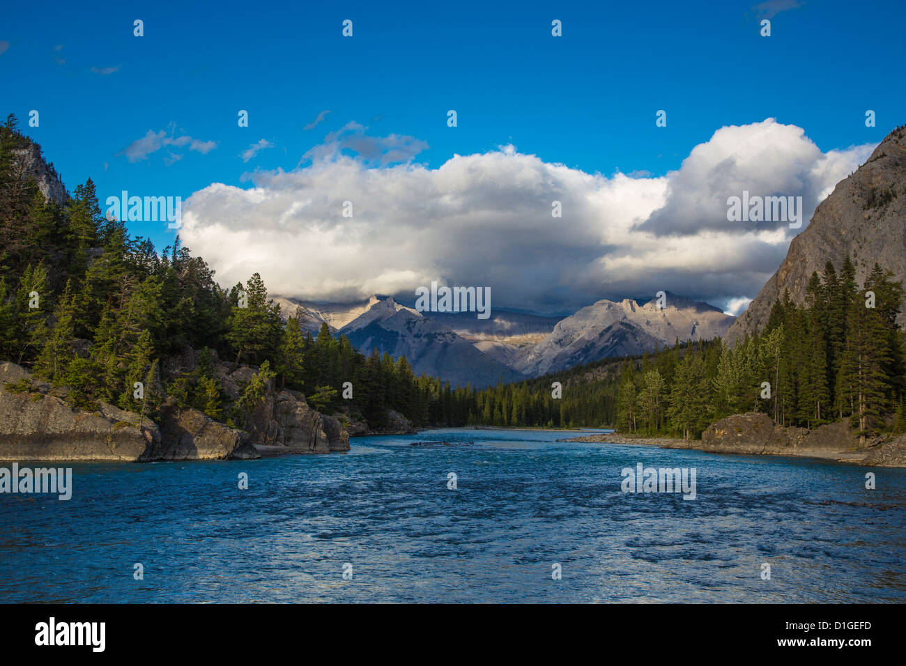 Il Fiume Bow nella città di Banff nel Parco Nazionale di Banff nelle Montagne Rocciose Canadesi in Alberta Canada Foto Stock