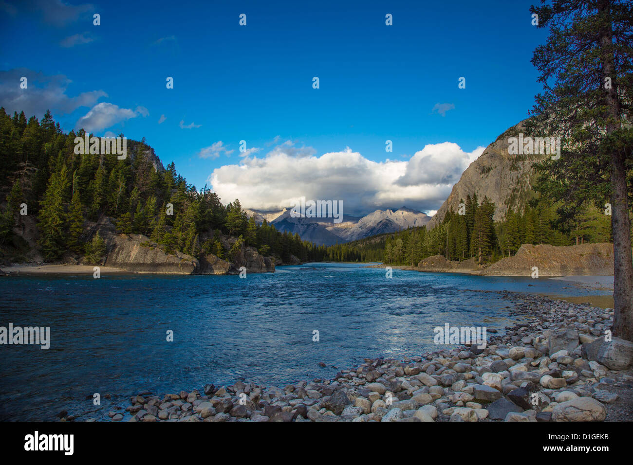 Il Fiume Bow nella città di Banff nel Parco Nazionale di Banff nelle Montagne Rocciose Canadesi in Alberta Canada Foto Stock