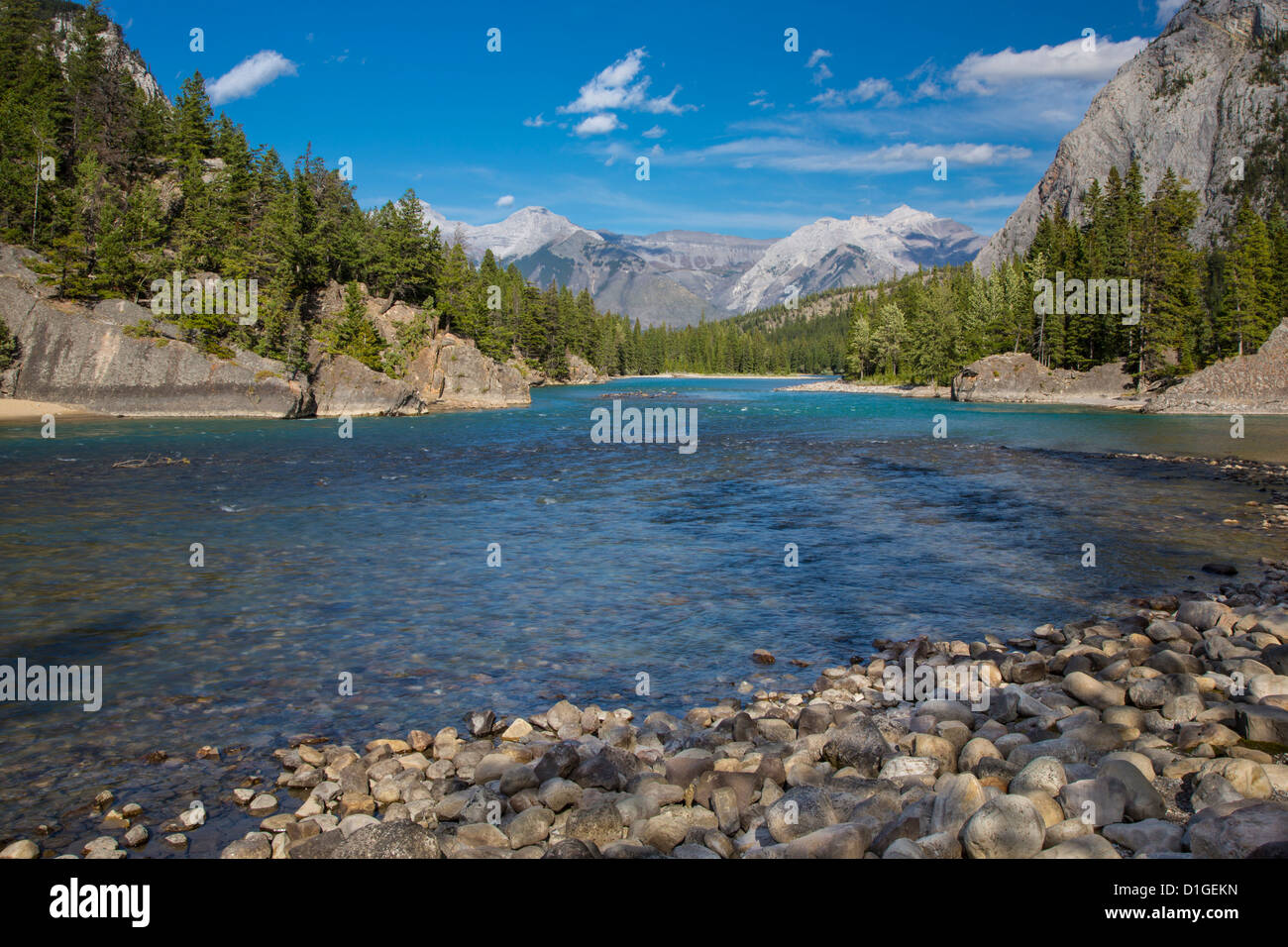 Il Fiume Bow nella città di Banff nel Parco Nazionale di Banff nelle Montagne Rocciose Canadesi in Alberta Canada Foto Stock