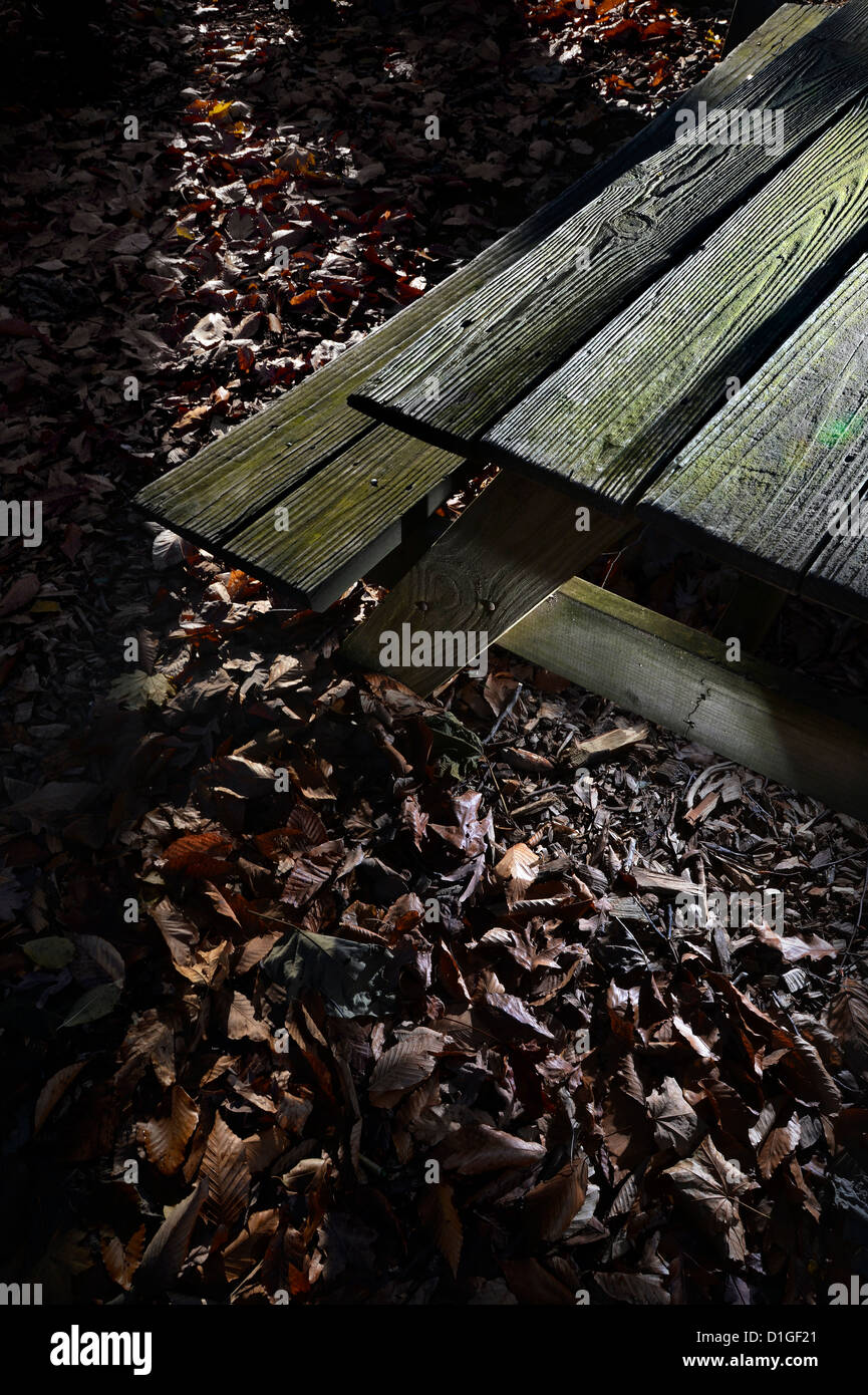 In legno antico Tavolo picnic nel tardo autunno Foto Stock