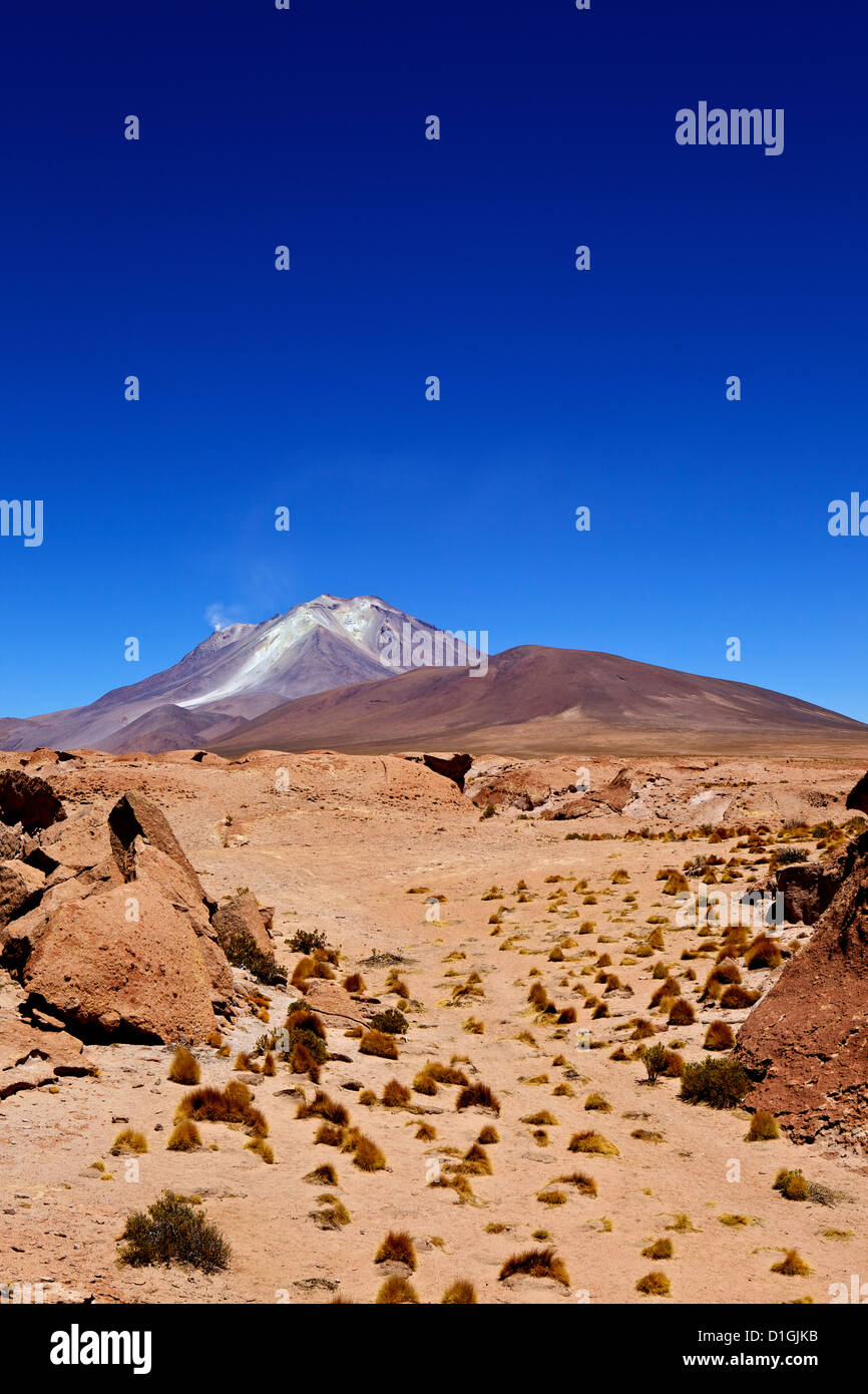 A sud-ovest di Highlands, Bolivia, Sud America Foto Stock