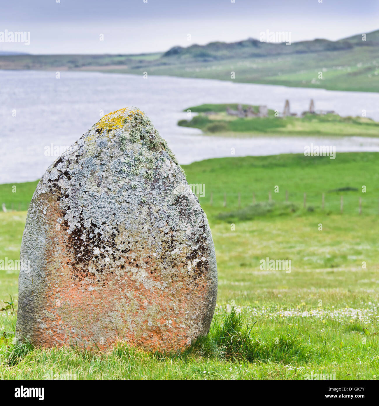 Finlaggan rock, Islay Isola, Ebridi Interne, Scotland, Regno Unito, Europa Foto Stock