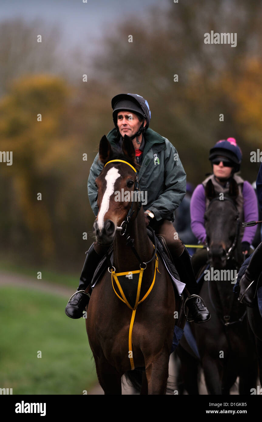 Una stringa di cavalli a Paul Nicholls scuderie Ditcheat, Somerset - tra cui il campione Kauto Star (nella foto) portando il modo Foto Stock