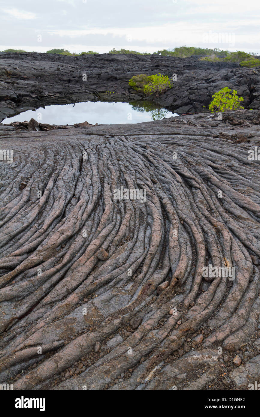 Il flusso di lava, Fernandina Island, Isole Galapagos, Sito Patrimonio Mondiale dell'UNESCO, Ecuador, Sud America Foto Stock