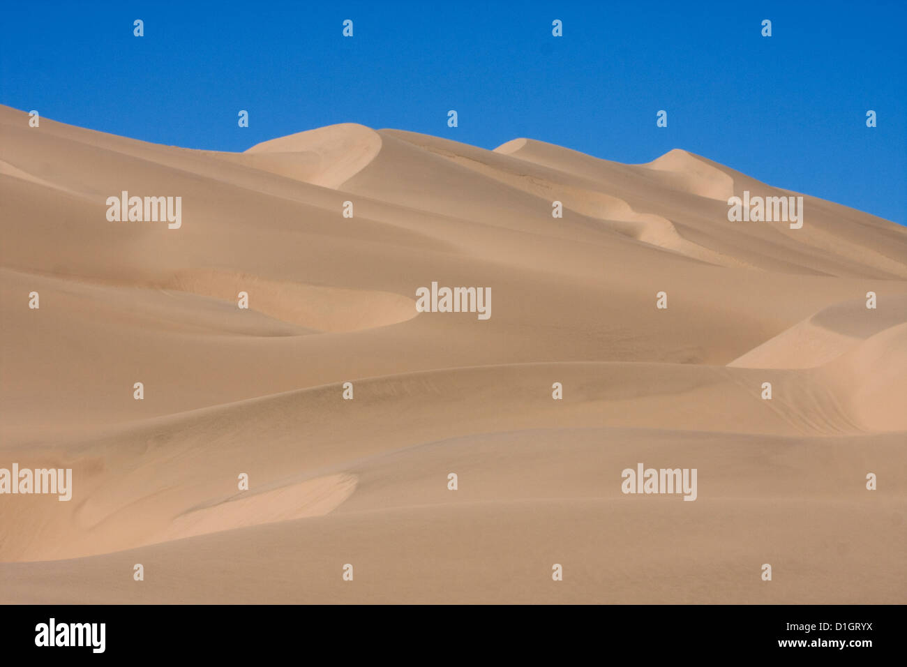 Dune del deserto del Namib, al di fuori di Walvis Bay, Namibia. Foto Stock