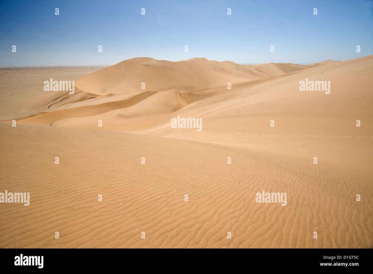 Il rotolamento dune di sabbia del deserto del Namib, Namibia. Foto Stock