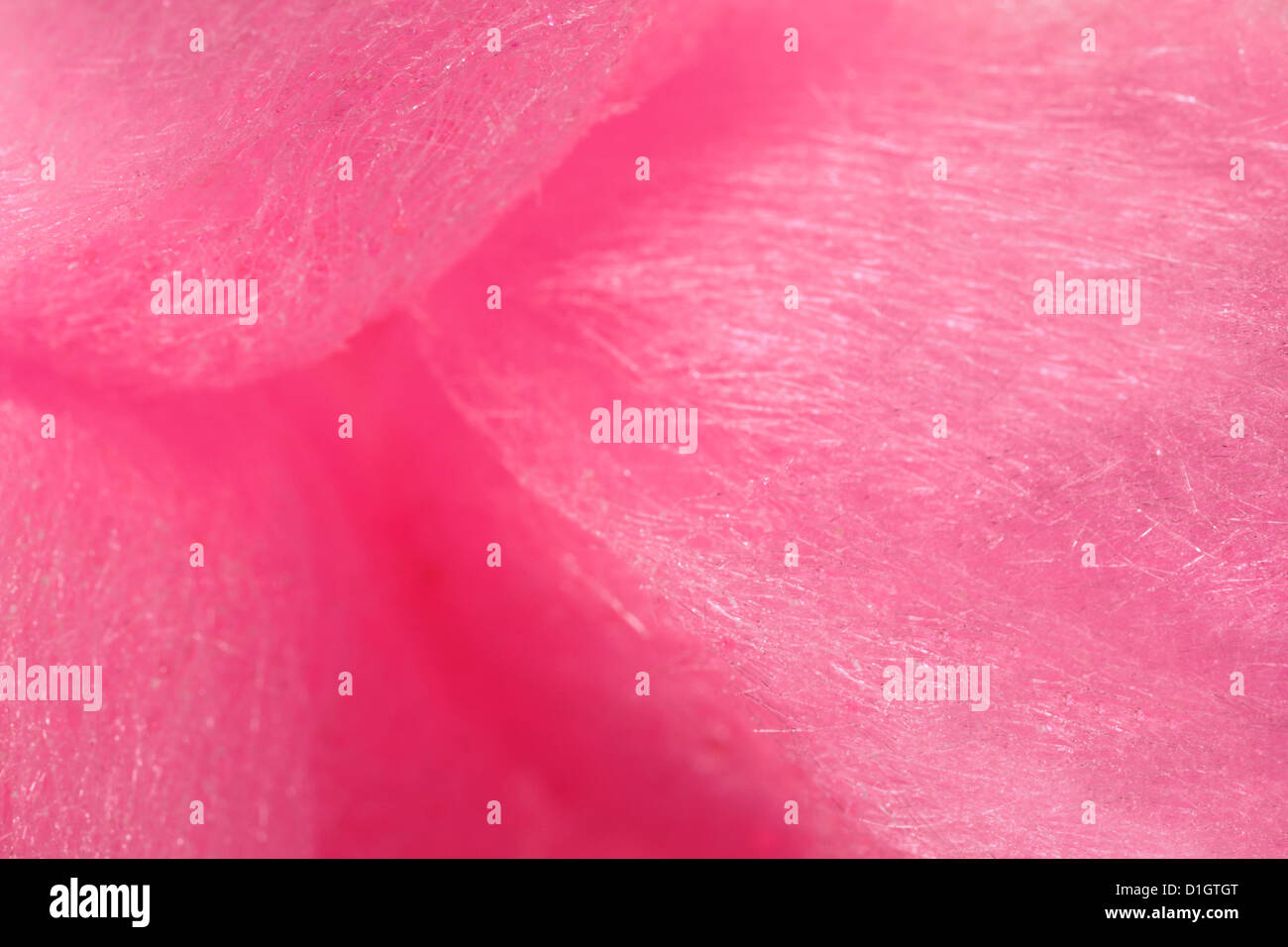 Caramella di cotone Foto Stock