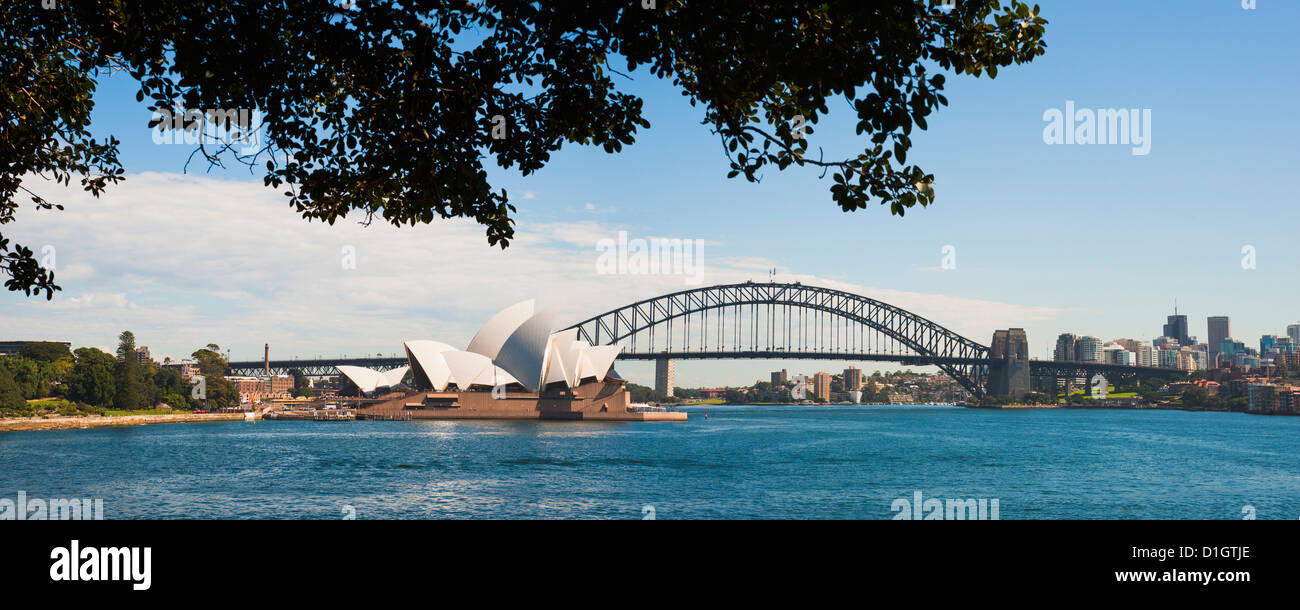 Sydney Opera House e il Sydney Harbour Bridge panoramic da Sydney Royal Botanic Gardens, Sydney, Nuovo Galles del Sud, Australia Foto Stock