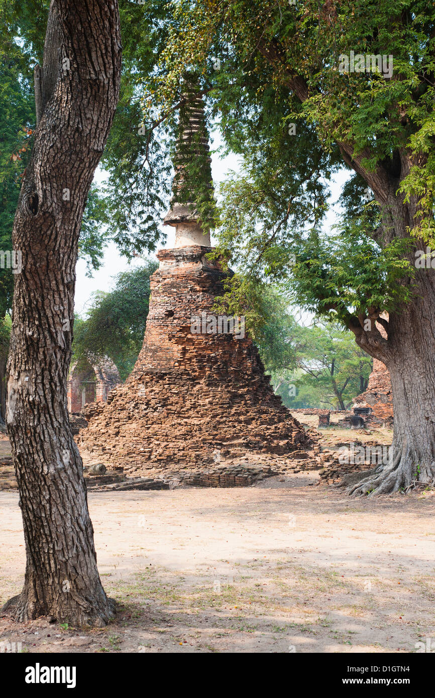 Stupa di Wat Phra Si Sanphet nell'antico parco storico della città di Ayutthaya, Thailandia, Sud-est asiatico, in Asia Foto Stock