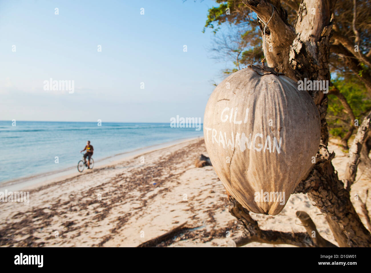 Gili Trawangan scritto su una noce di cocco, isole Gili, Indonesia, Asia sud-orientale, Asia Foto Stock
