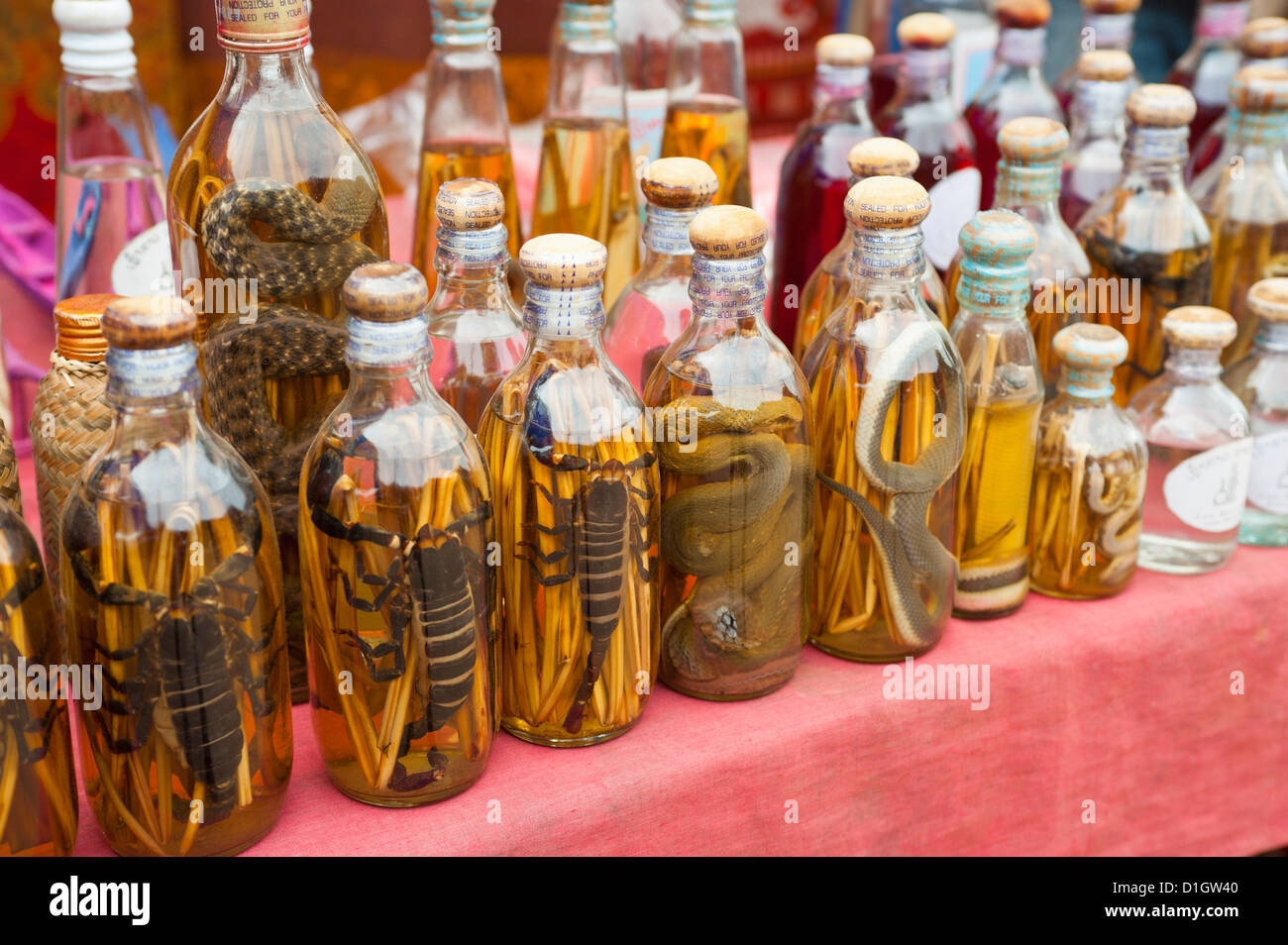 Il vino di riso bottiglie riempite con le lucertole, Luang Prabang, Laos, Indocina, Asia sud-orientale, Asia Foto Stock