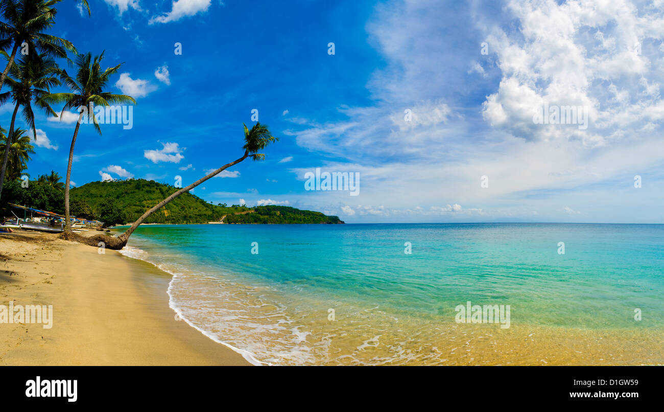 Panorama di un sovrastante Palm tree a Nippah sulla spiaggia tropicale dell'Isola di Lombok, Indonesia, Asia sud-orientale, Asia Foto Stock