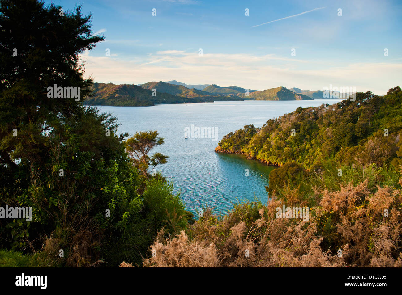 Vista di una barca a vela in Queen Charlotte Sound, South Island, in Nuova Zelanda, Pacific Foto Stock