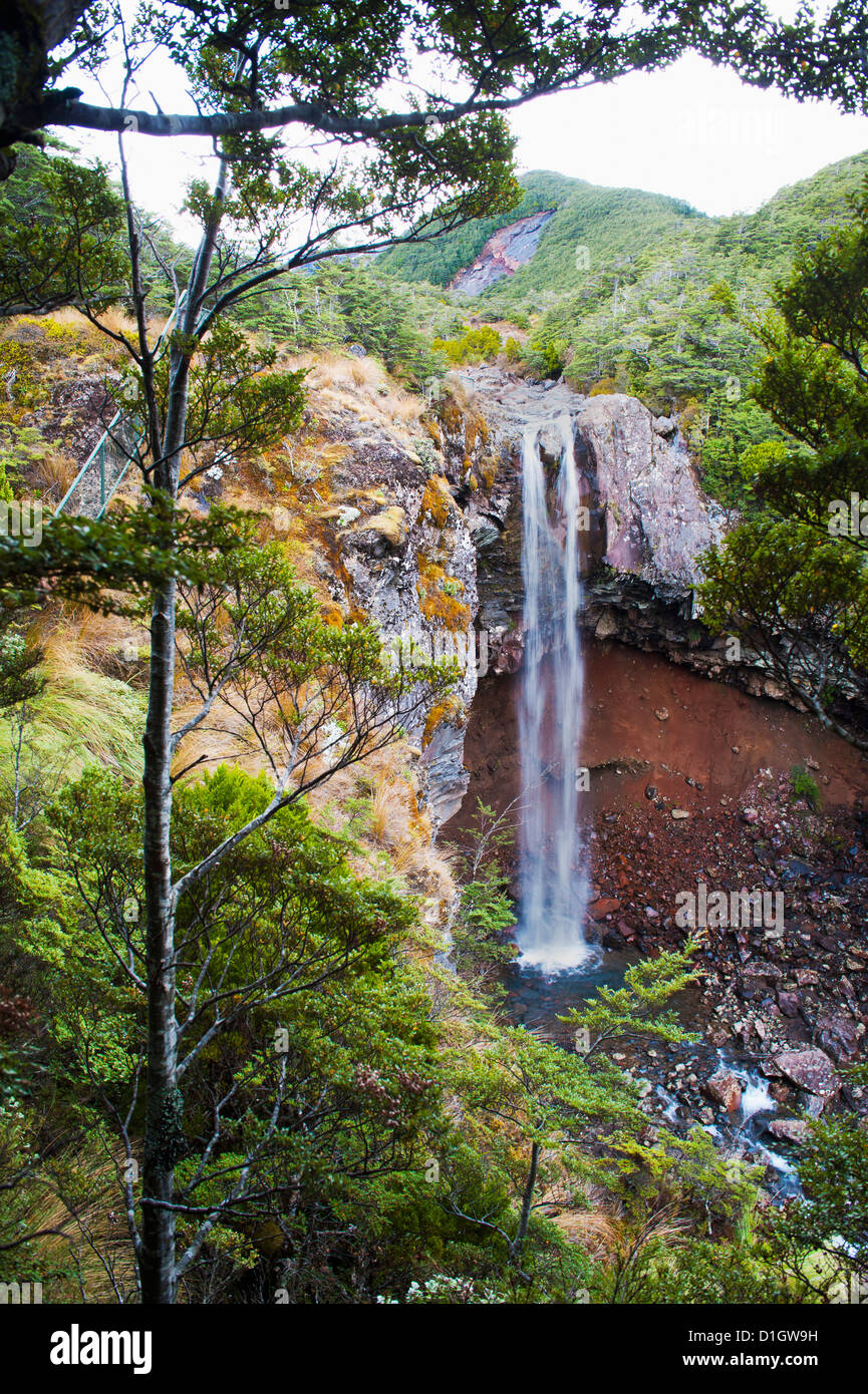 Le Waitonga Falls nel Parco Nazionale di Tongariro, Sito Patrimonio Mondiale dell'UNESCO, Isola del nord, Nuova Zelanda, Pacific Foto Stock