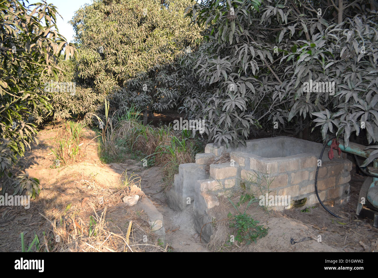 Un canale di irrigazione e pompa di acqua in un frutteto di mango nel Delta del Nilo Foto Stock