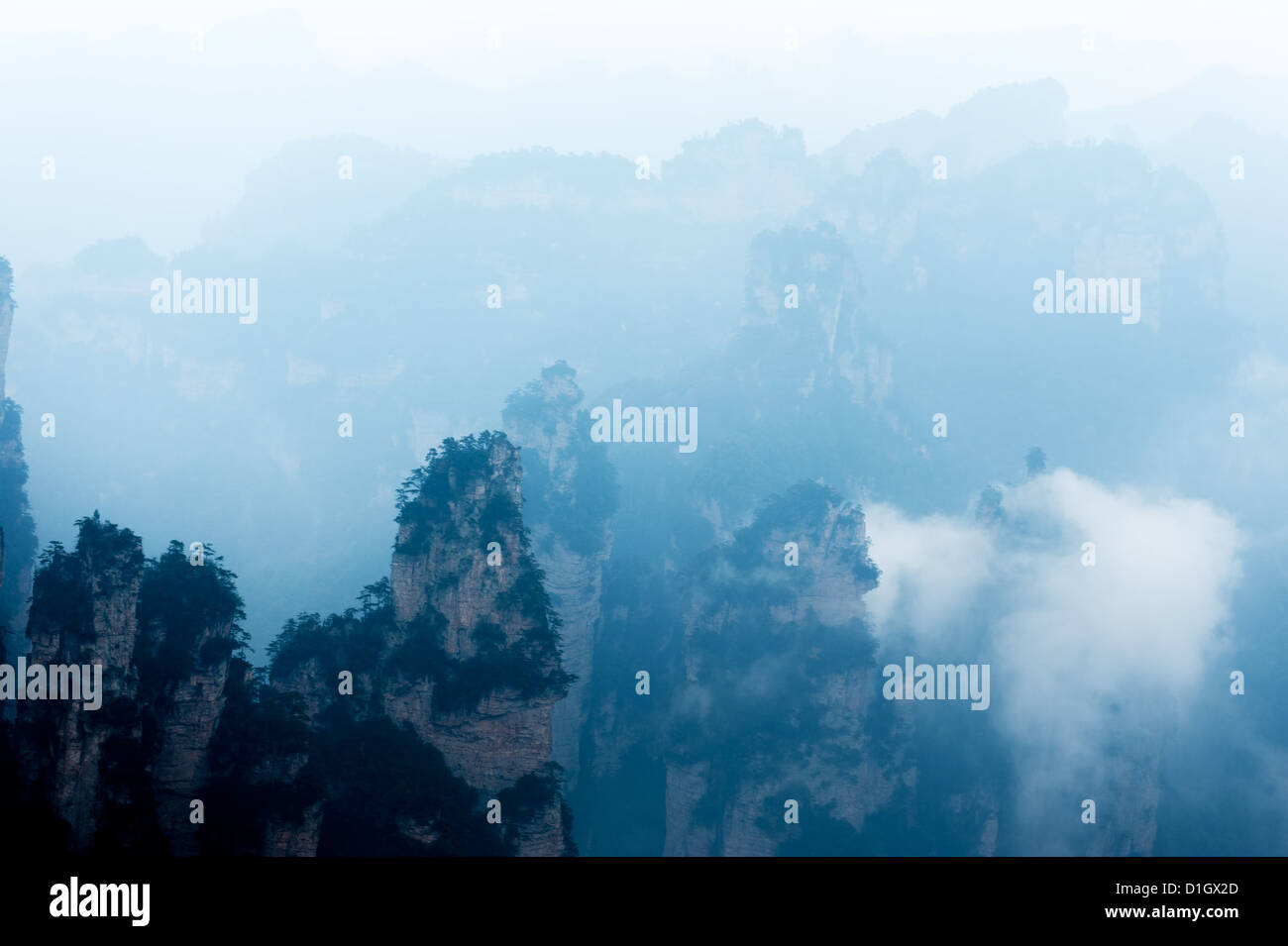 Ripida montagna in Zhangjiajie National Forest Park si trova nella provincia del Hunan, Cina Foto Stock