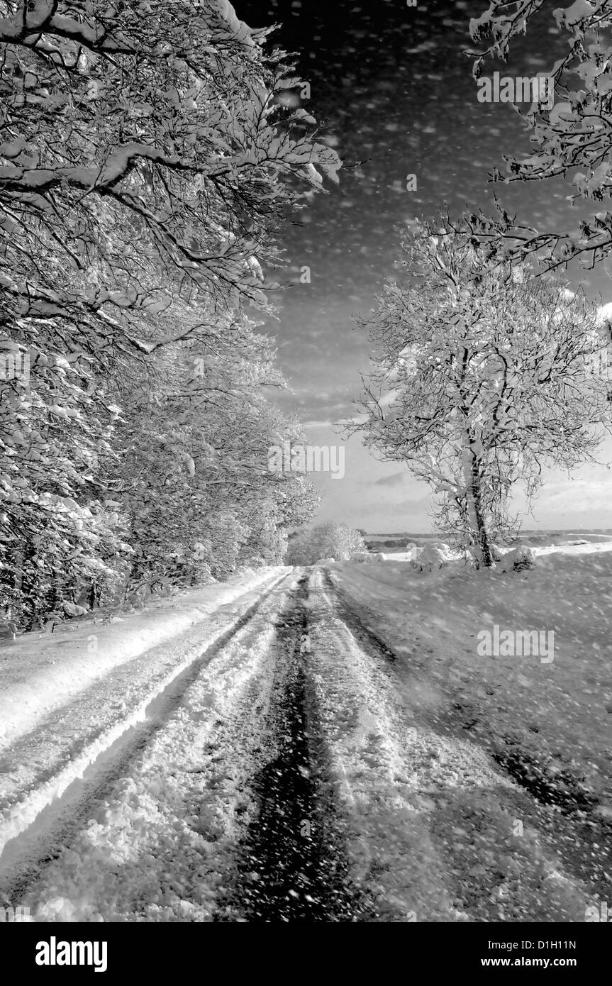 Inverno nel Regno Unito Foto Stock