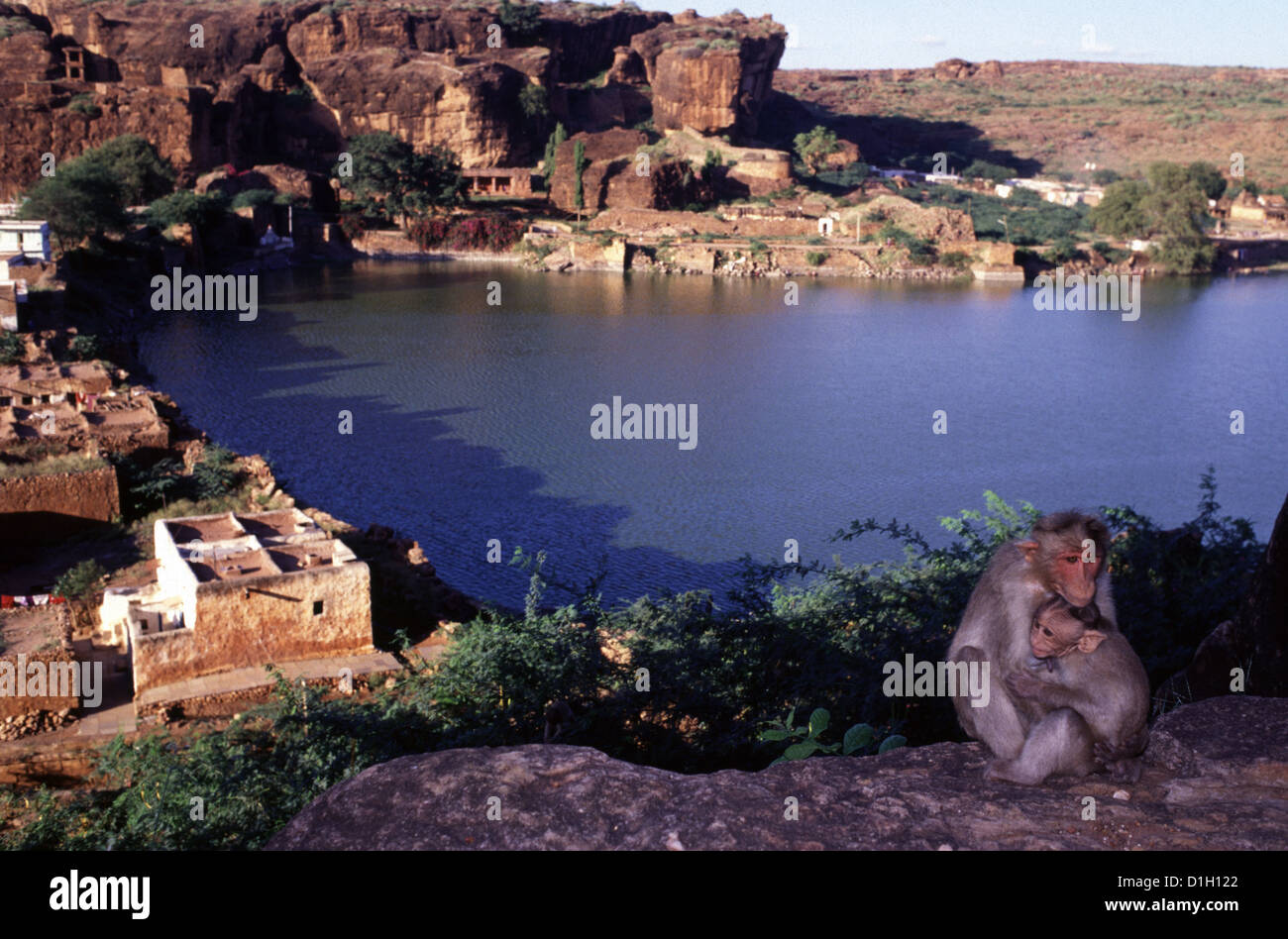 Monkey abbracciando baby scimmia in una scogliera sopra il lago di Agastya in Badami situato nel distretto di Bagalkot di Karnataka, India Foto Stock