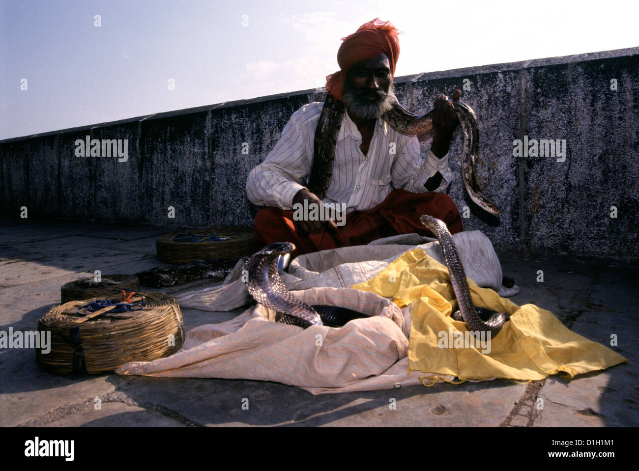 Gli stati di una antica tribù di incantatori di serpenti noto come saperas, che attraverso le generazioni hanno prosperato sulla cattura serpenti velenosi e rendendoli danza per la loro musica nella foto con serpenti cobra in strada a Mumbai India Foto Stock