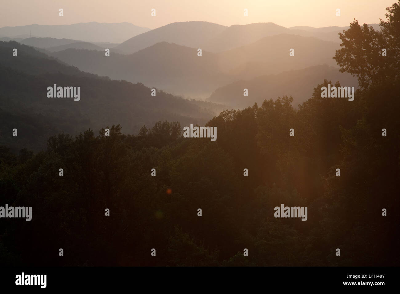 Sunrise in Great Smoky Mountains del Tennessee orientale, Stati Uniti d'America, i viaggiatori di un paese delle meraviglie Foto Stock