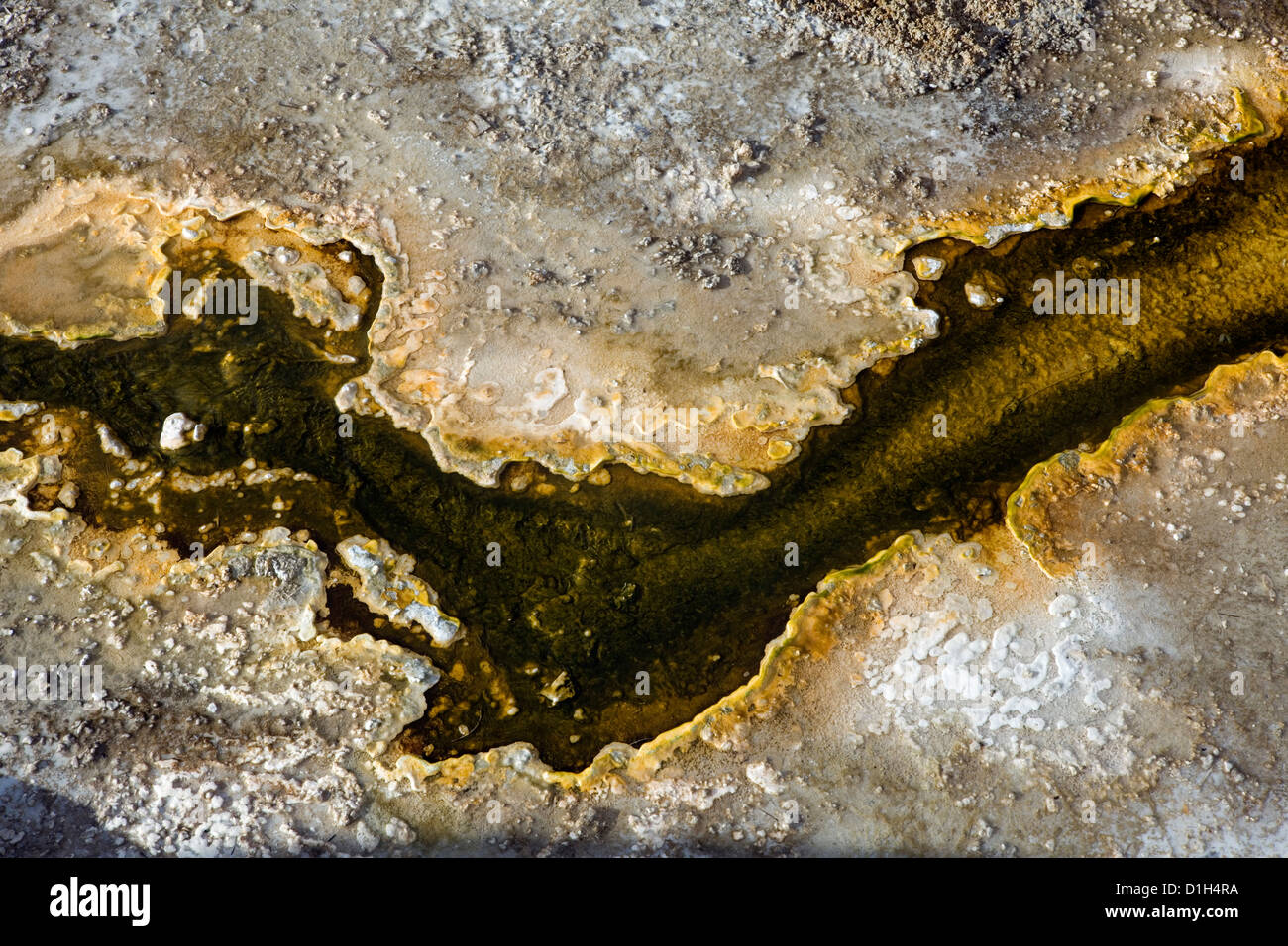 WY00190-00...WYOMING - Geyser runoff in Upper Geyser Basin del Parco Nazionale di Yellowstone. Foto Stock