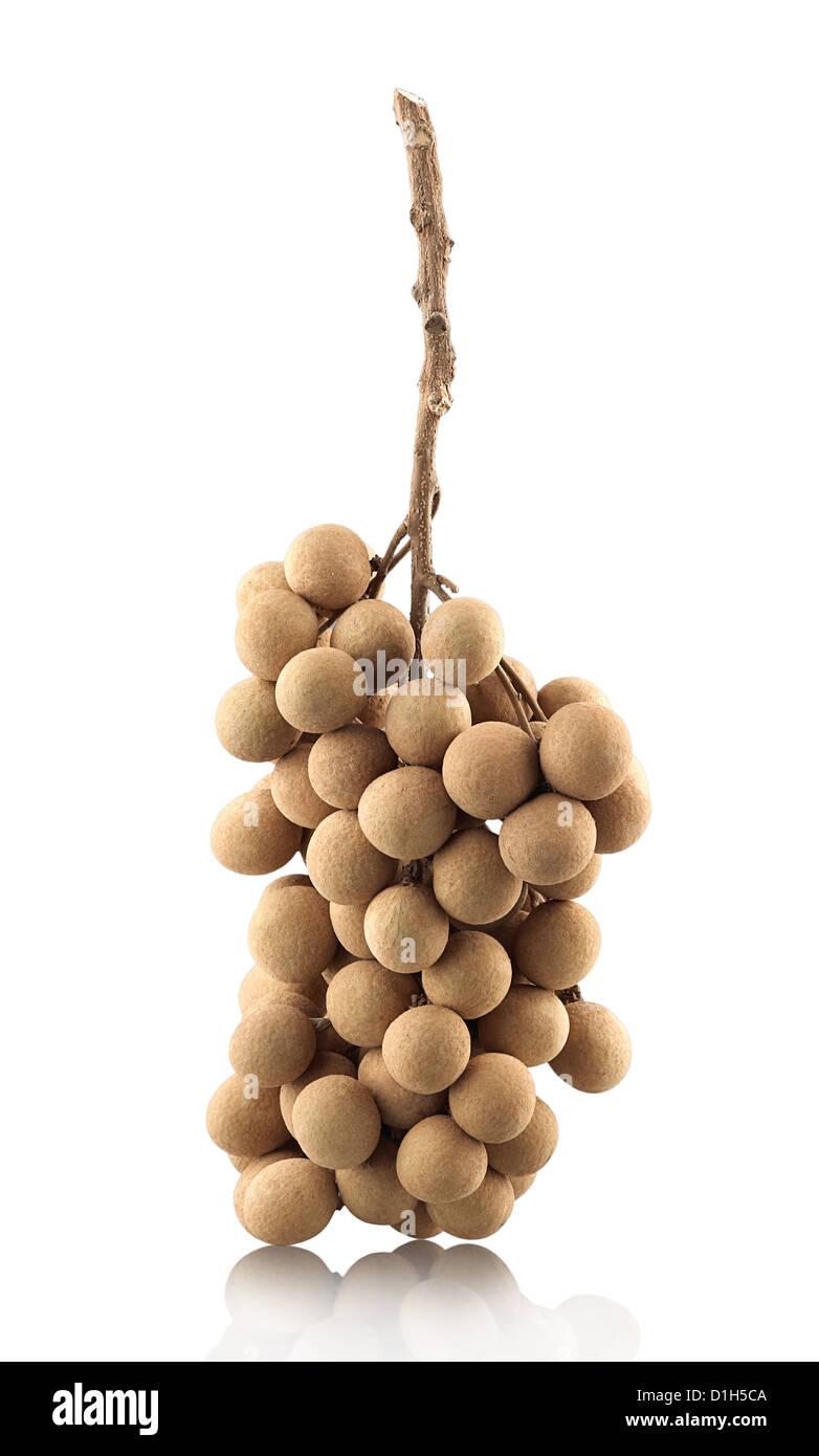 Longan un Thai frutta tropicali isolato su bianco Foto Stock