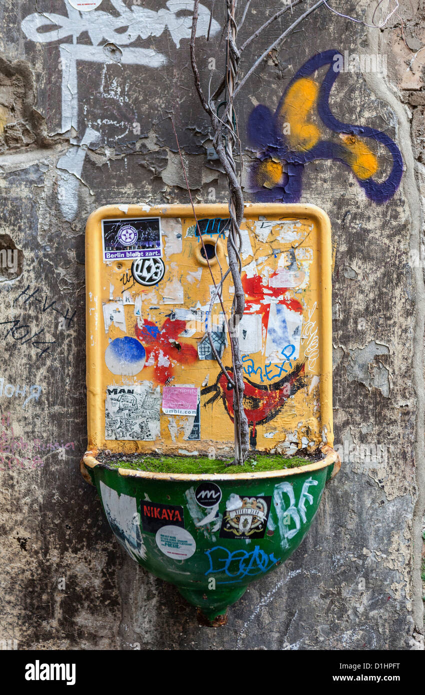 Vaso di fiori con pianta morta coperto di graffiti e adesivi - Haus Schwarzenberg a 39 Rosenthalerstrasse, Mitte di Berlino Foto Stock