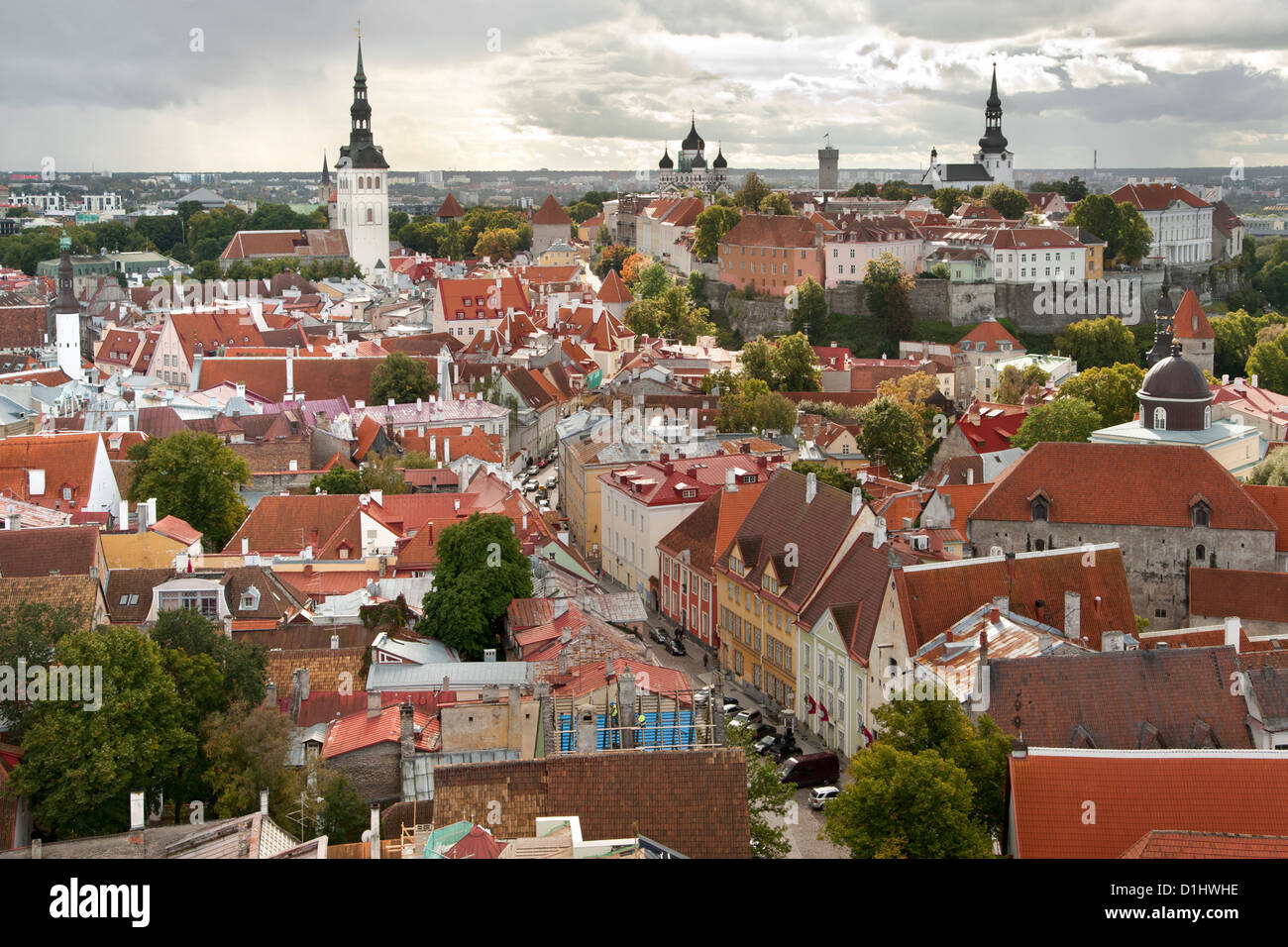 Vista sui tetti della città vecchia di Tallinn, la capitale dell'Estonia. Foto Stock