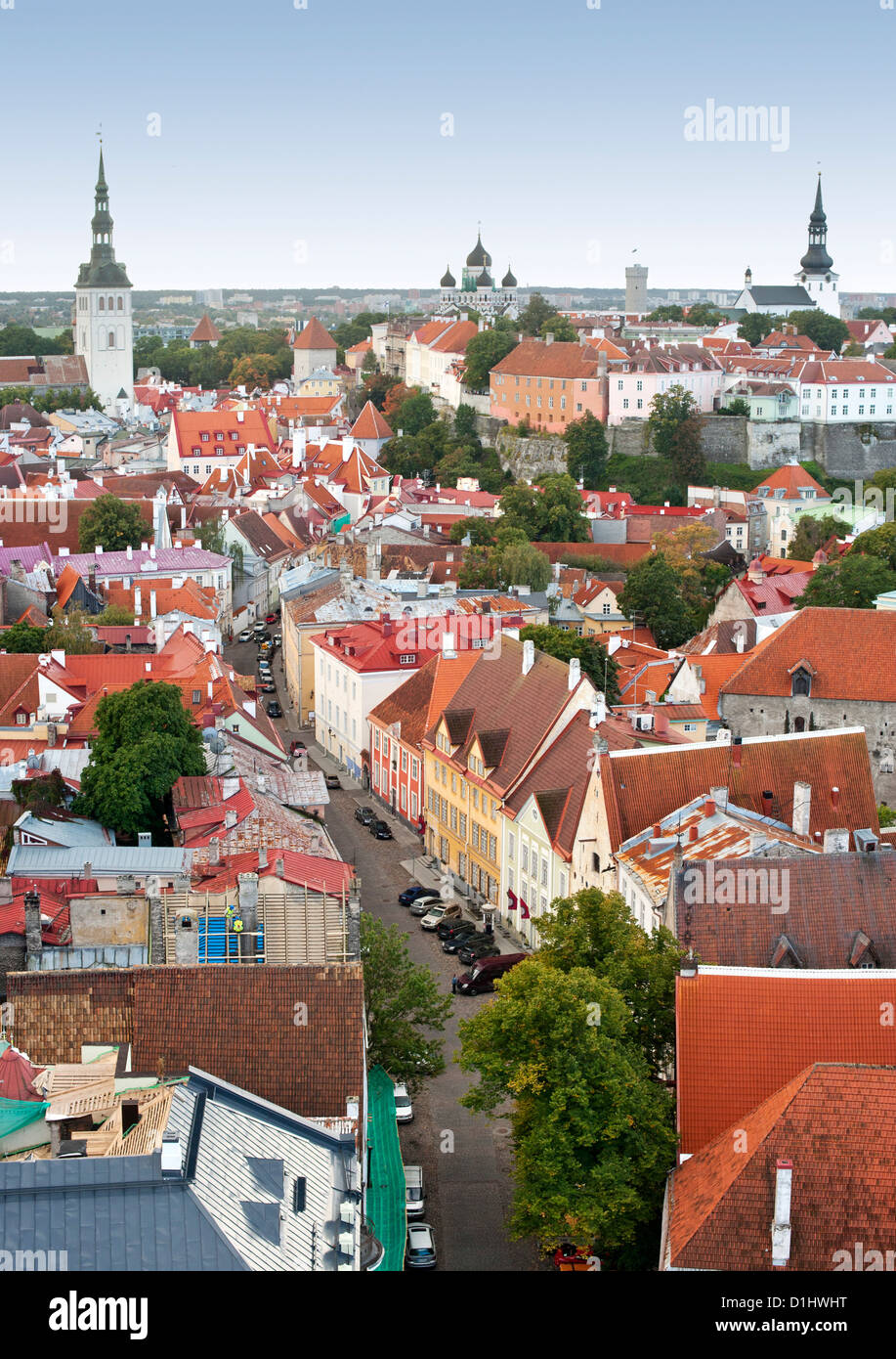 Vista sui tetti della città vecchia di Tallinn, la capitale dell'Estonia. Foto Stock