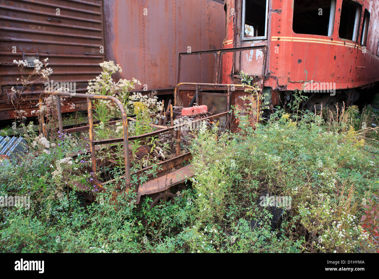 Automobili della ferrovia ruggine in un campo. Foto Stock